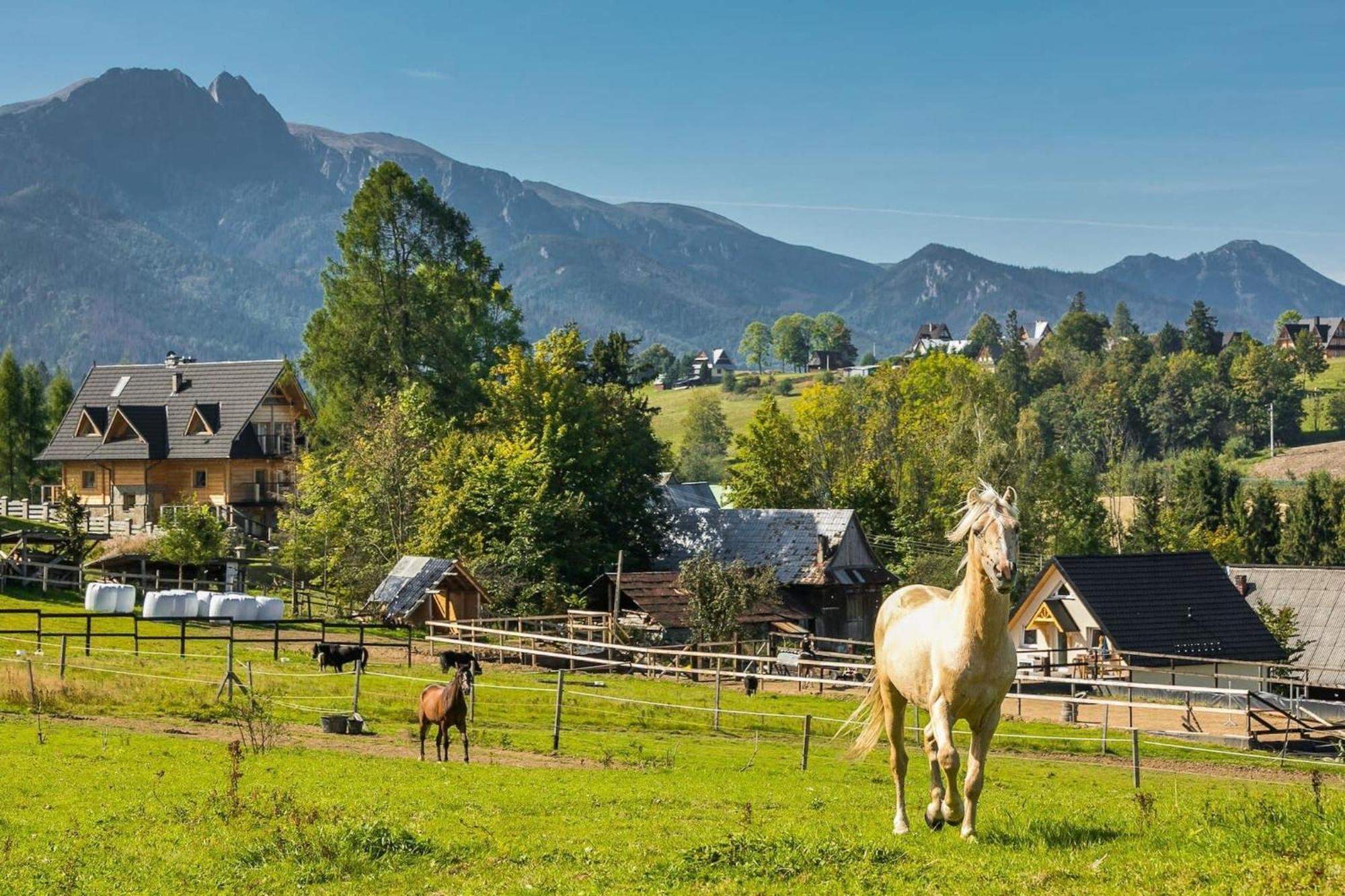 Rent like home - Willa Zoniówka PREMIUM Zakopane Exterior foto